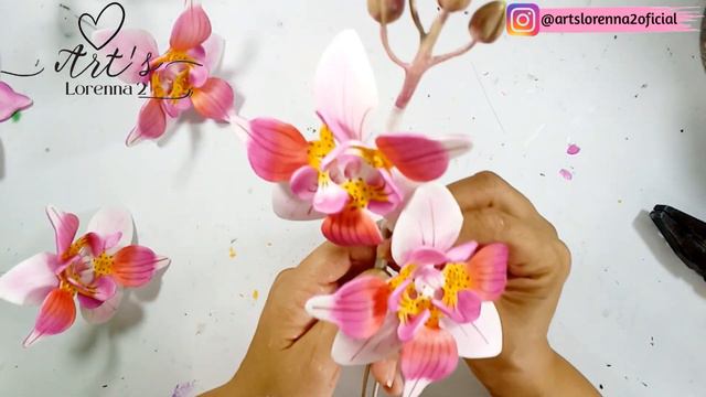 Orquidea phalaenopsis equestris смотреть онлайн