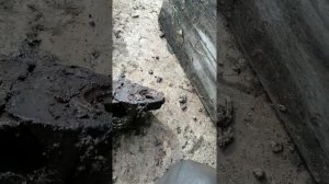 Замена ушки передней рессоры Маз, не снимая рессоры