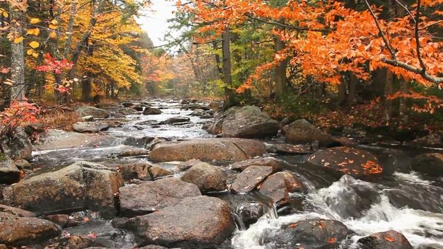 “Осінній вальс” Ф Шопен смотреть онлайн