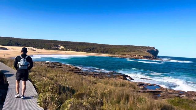 ROYAL NATIONAL PARK SYDNEY смотреть онлайн