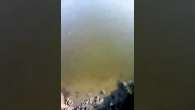Амурчик на Хопре смотреть онлайн