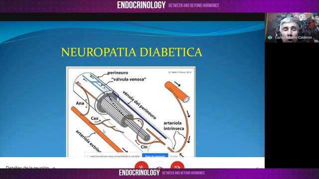ENDOCRINOLOGY BETWEEN AND BEYOND HORMONES - DIA 3 смотреть онлайн