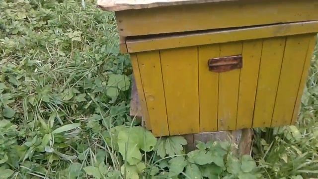 Богатый пчеловод НА ЧТО ПОСТАВИТЬ УЛЕЙ смотреть онлайн