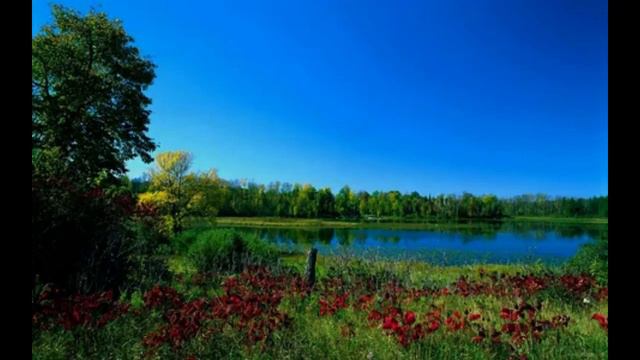 Все для тебя Высшим разумом создано