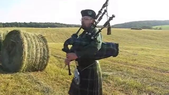 вилли молодцов 1.wmv смотреть онлайн