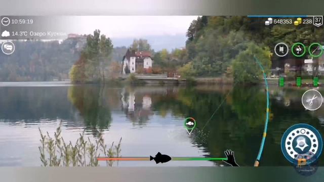 Берш▶My Fishing World▶мой рыболовный мир▶где и на что ловить берша