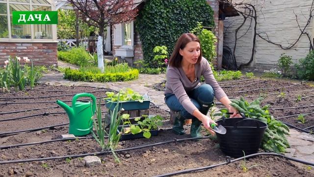 ПОСАДКА КАБАЧКОВ В ОТКРЫТЫЙ ГРУНТ//подготовка грядки под кабачки// выращивание кабачков в компостер смотреть онлайн