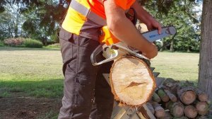 Stihl MS 341 Big-Bore and Muffler Mod VS Stihl MS 341 stock with same bar and chain!!