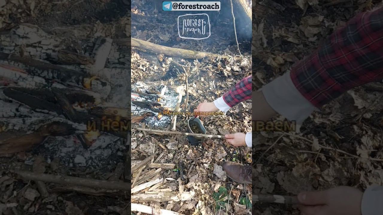 ЛУЧШИЙ РЕЦЕПТ ФАСОЛИ ДЛЯ ЛЕСА! #выживание #нож #бушкрафт #ковка #survival #forest #самоделки смотреть онлайн