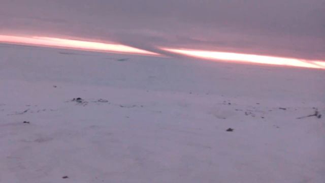 Кормят белого медведя ,остров Большевик смотреть онлайн