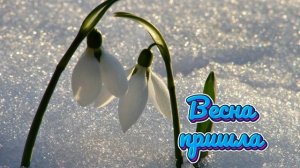 Футаж. Весна пришла 9