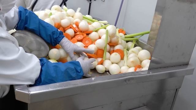 돈까스공장 Mass Production! Pork Cutlet and Vegetable Sauce Making Process - Korean food factory смотреть онлайн