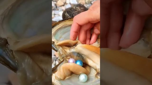 Зачем устрице жемчужина #shorts #факты #жемчуг смотреть онлайн