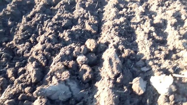 Плуг с перьевым отвалом! Небольшая поломка)) смотреть онлайн