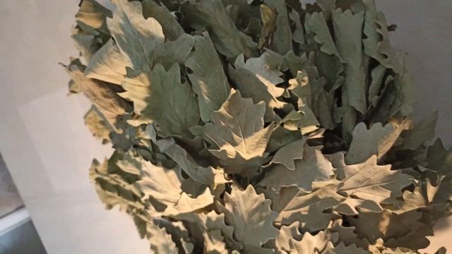 Видео банный веник 60 см Южная орбита (Ozon) смотреть онлайн