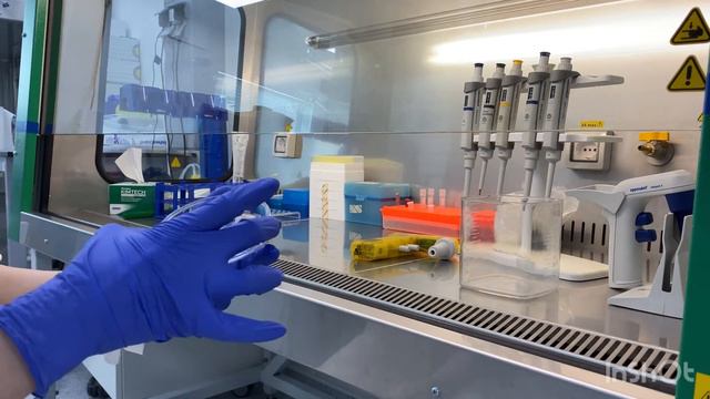 Чем я занимаюсь на работе, рабочий ВЛОГ смотреть онлайн