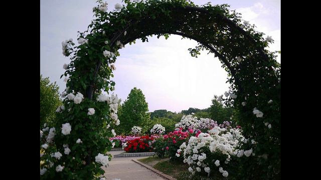 в парке Чаир