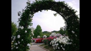 в парке Чаир