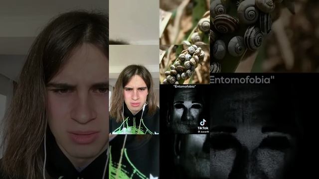 ?Фобия боязни улиток #рекомендации #фобия смотреть онлайн