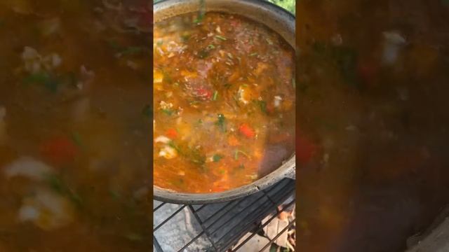 Сварили вкусный харчо в казане на мангале ???