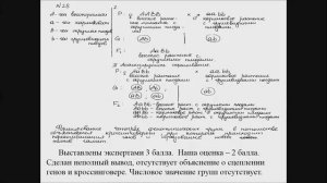 Решение Задач на сцепленное наследование признаков. Задание ЕГЭ № 28