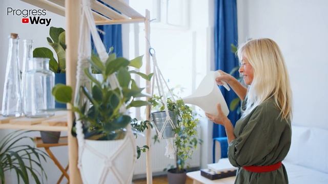 Ленивое Домашнее Растение! Которое Прощает Всё! Так Ещё И Воздух В Доме Чистит! смотреть онлайн