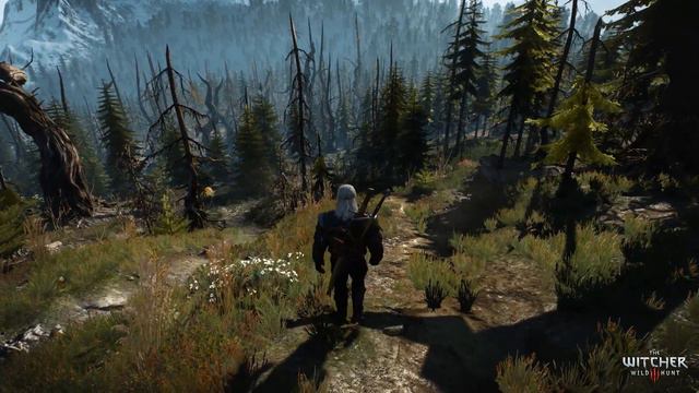 The Witcher 3 | Scenic Immersion смотреть онлайн