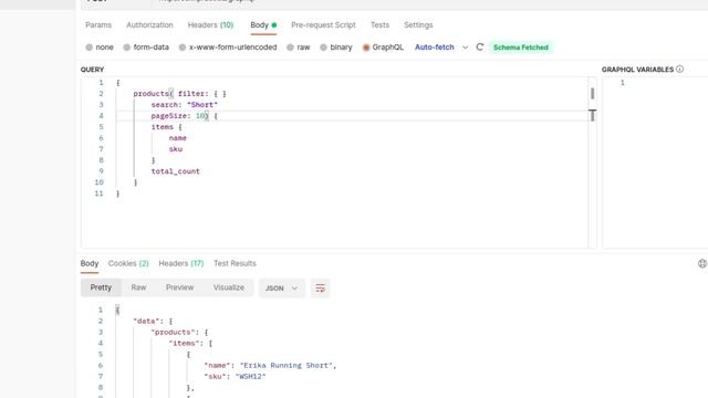 [2022] Magento 2.4 - Consultas GraphQL смотреть онлайн