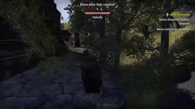 Playing Elder Scrolls Online While Being Bored 3