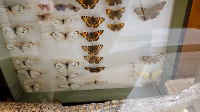 Зима, коньки, школа. Накануне Рождества.🎄 смотреть онлайн