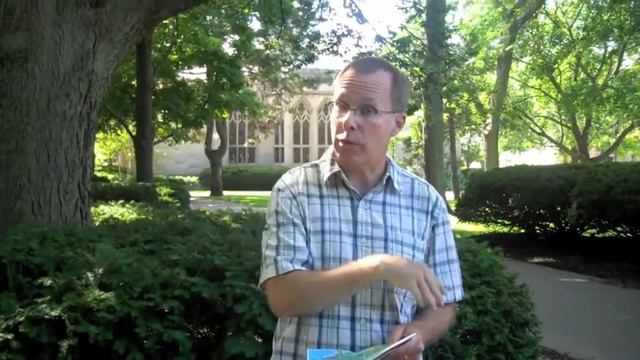 Video: Class Size and the Student-Faculty Ratio at Northwestern смотреть онлайн