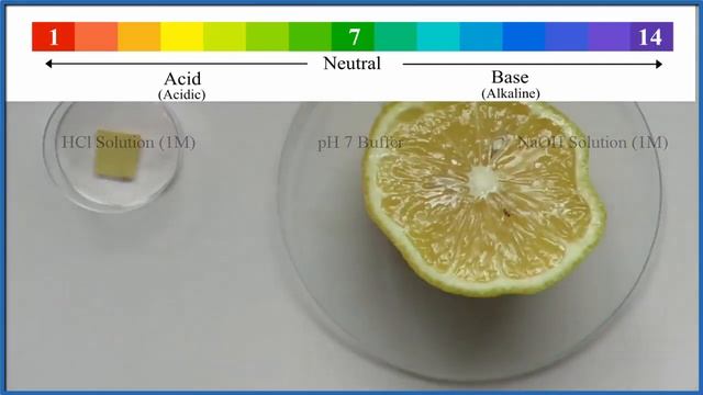 pH of Lemon Juice: Is lemon juice acidic or alkaline? ??? смотреть онлайн