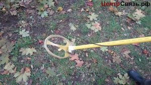 Металлоискатель Кащей 5и