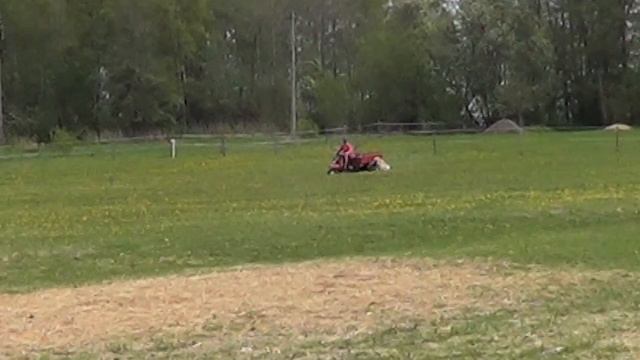 Злата - собака-компаньон. Полгода вместе 🧡🧡