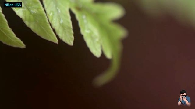 Nikon D7500 Full Features : Why Its Best For You?