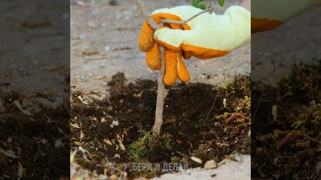 УМНЫЕ ЛАЙФХАКИ ДЛЯ САДОВОДСТВА, КОТОРЫЕ ДЕЙСТВИТЕЛЬНО РАБОТАЮТ смотреть онлайн