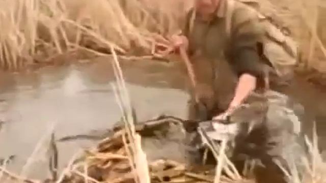 Рыбалка на щуку с виллами. смотреть онлайн