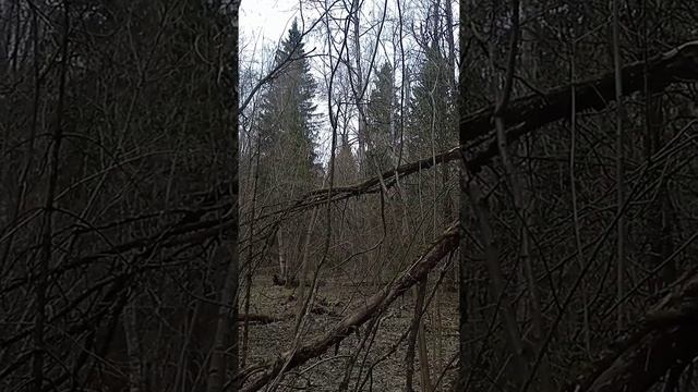 Ураза-байрам , всех мусульман с праздником! ? смотреть онлайн