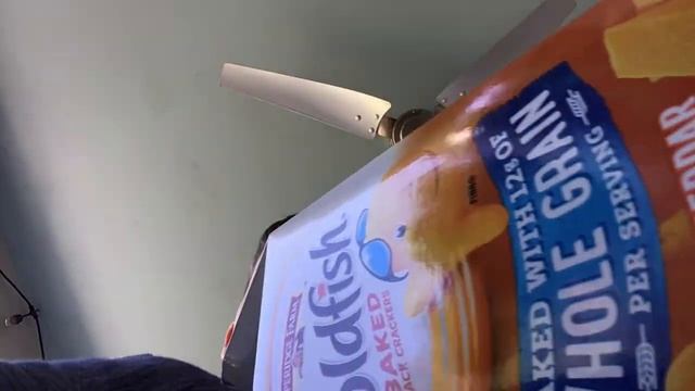 First person to find me in Roblox they win 100 Robux! смотреть онлайн