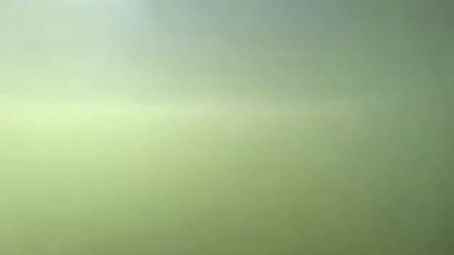 СПК "Чистогорский" выпускает сточные воды в реку смотреть онлайн