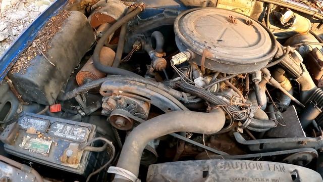 Rotting 1985 Ford Bronco 2 Tour (Failed 'Will It Run" Video) - NNKH смотреть онлайн