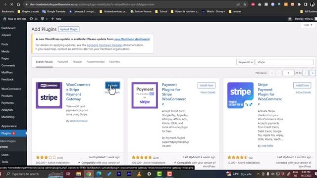 How to Add Stripe Payment Gateway in WordPress | 2023 Tutorial смотреть онлайн
