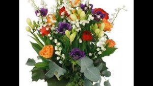 8 Марта!   Элвин Грей!