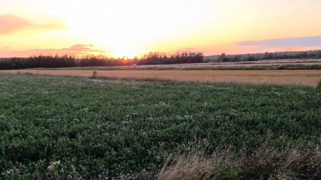 Beautiful Landscapes - Kåtnäs Finland.  A Film Created By Ivaylo Petkov.