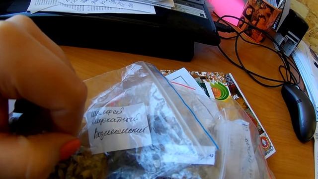 Посев в теплицу в марте на рассаду смотреть онлайн