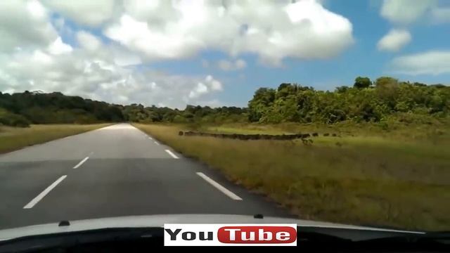 Охота на кабана.Приколы, неудачи и необычные случаи на охоте. Встреча с дикими животными. смотреть онлайн