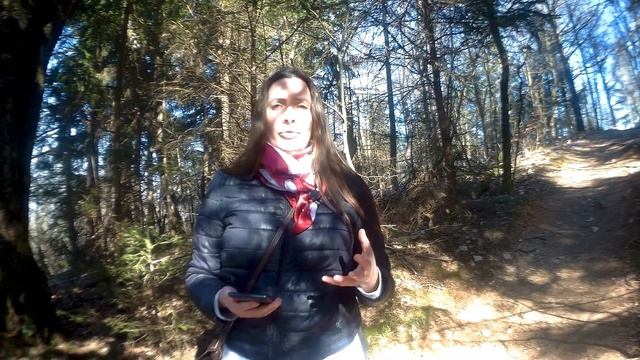 Как вписать викторину в КВЕСТ и не нарушить его структуру? смотреть онлайн