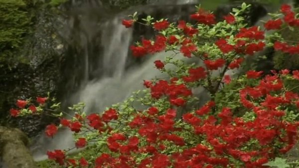 Ручей.  Классическая музыка, Этюд N2 фа-минор (Опус 25)(Шопен)