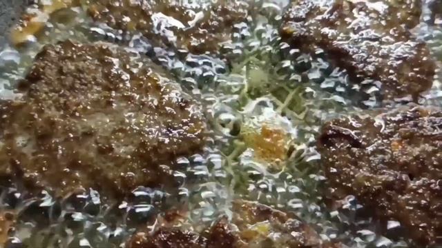 Рецепты из говяжьей печени. Вкусные котлеты? смотреть онлайн