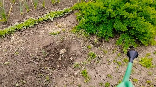 Спорт и Физическая Активность